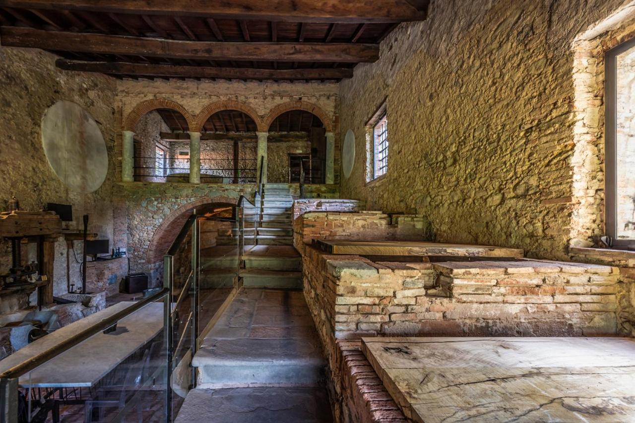 Frantoio Del Moscatello Bed & Breakfast Camaiore Luaran gambar